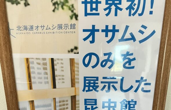 日高町「北海道オサムシ展示館」