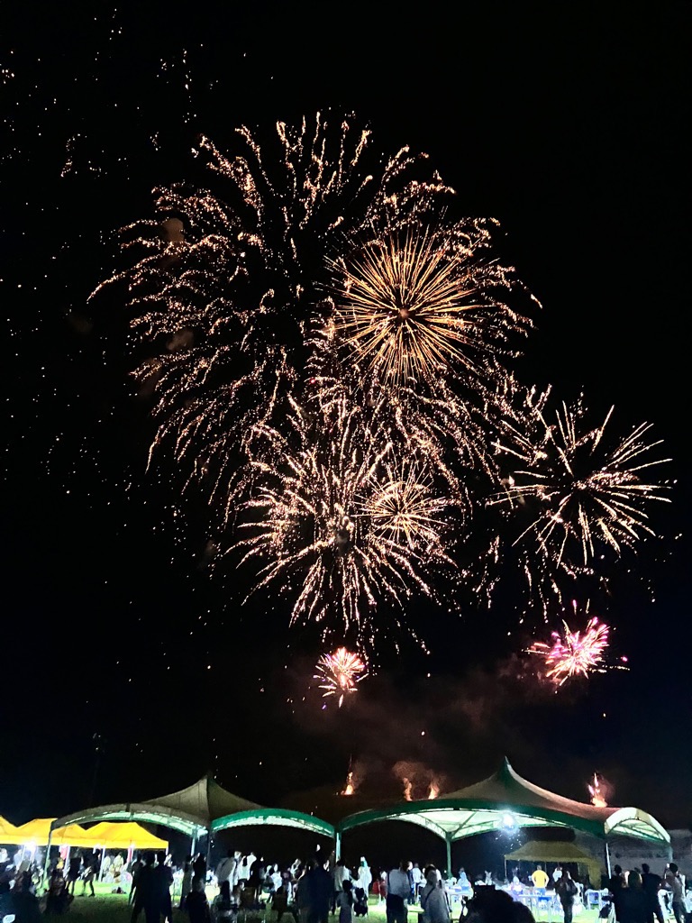 日高町樹魂祭りの打ち上げ花火